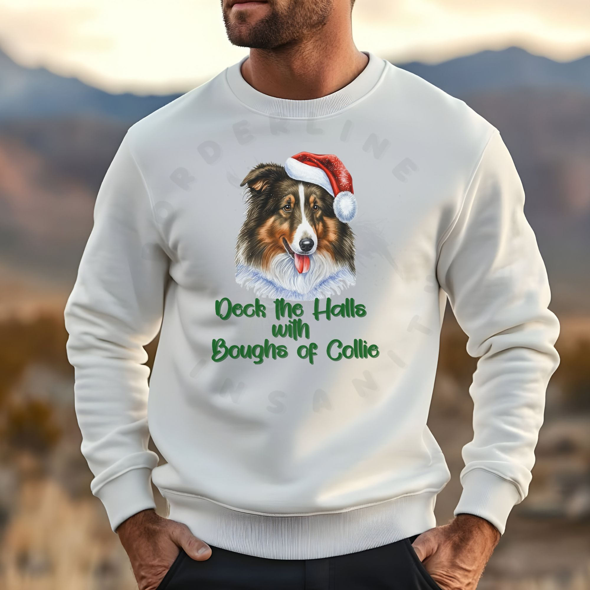a man standing outside in a grassy area wearing a white sweatshirt with a rough collie in a santa hat and the words deck the halls with boughs of collie