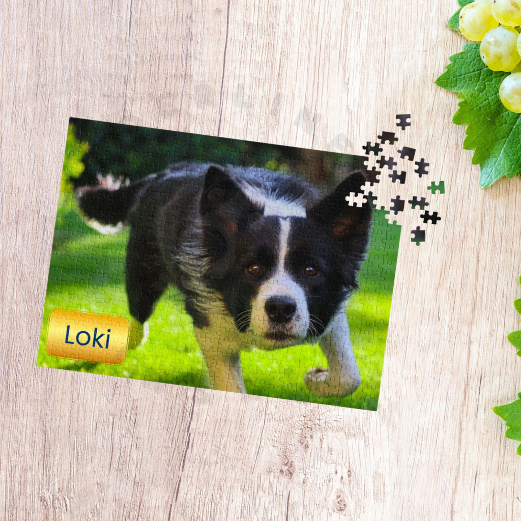 a puzzle of a border collie staring into the camera, with some loose pieces at the top right