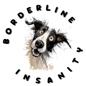 borderline insanity logo