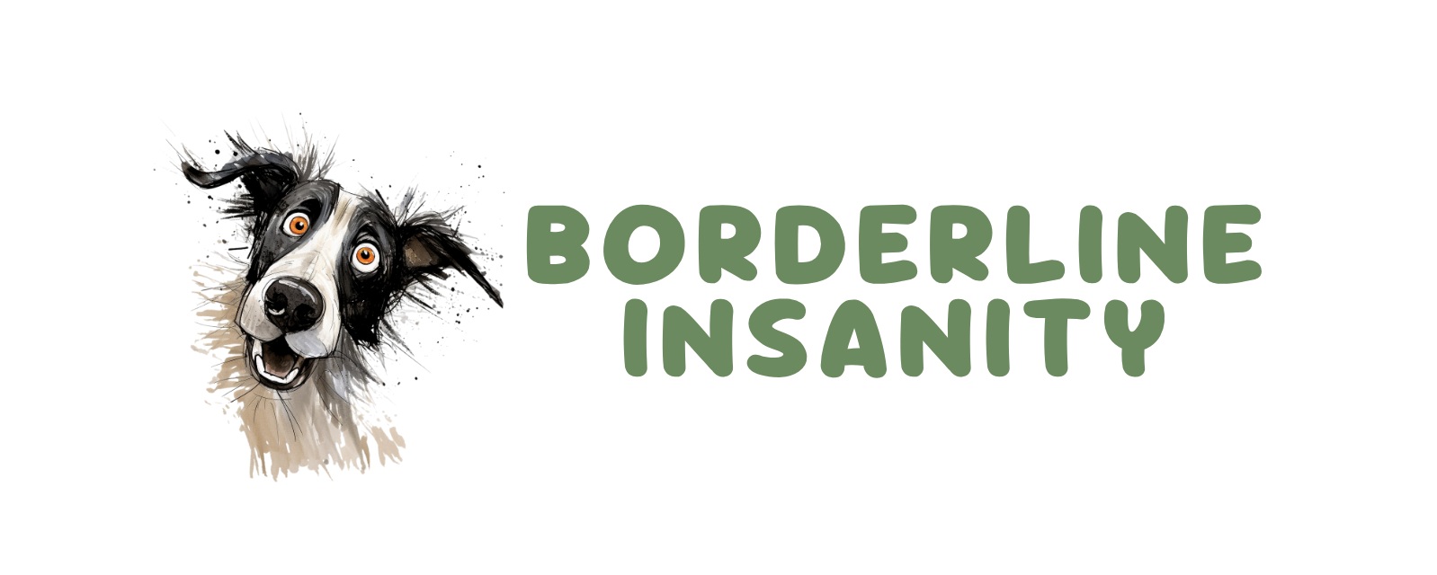 borderline insanity logo wide