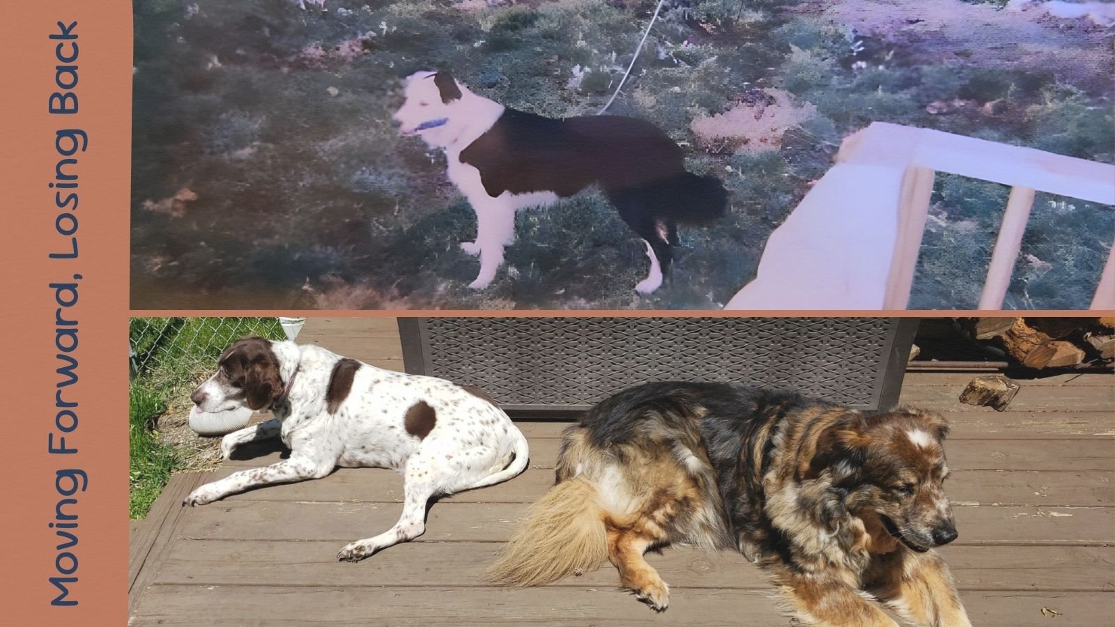 Moving Forward, Losing Back