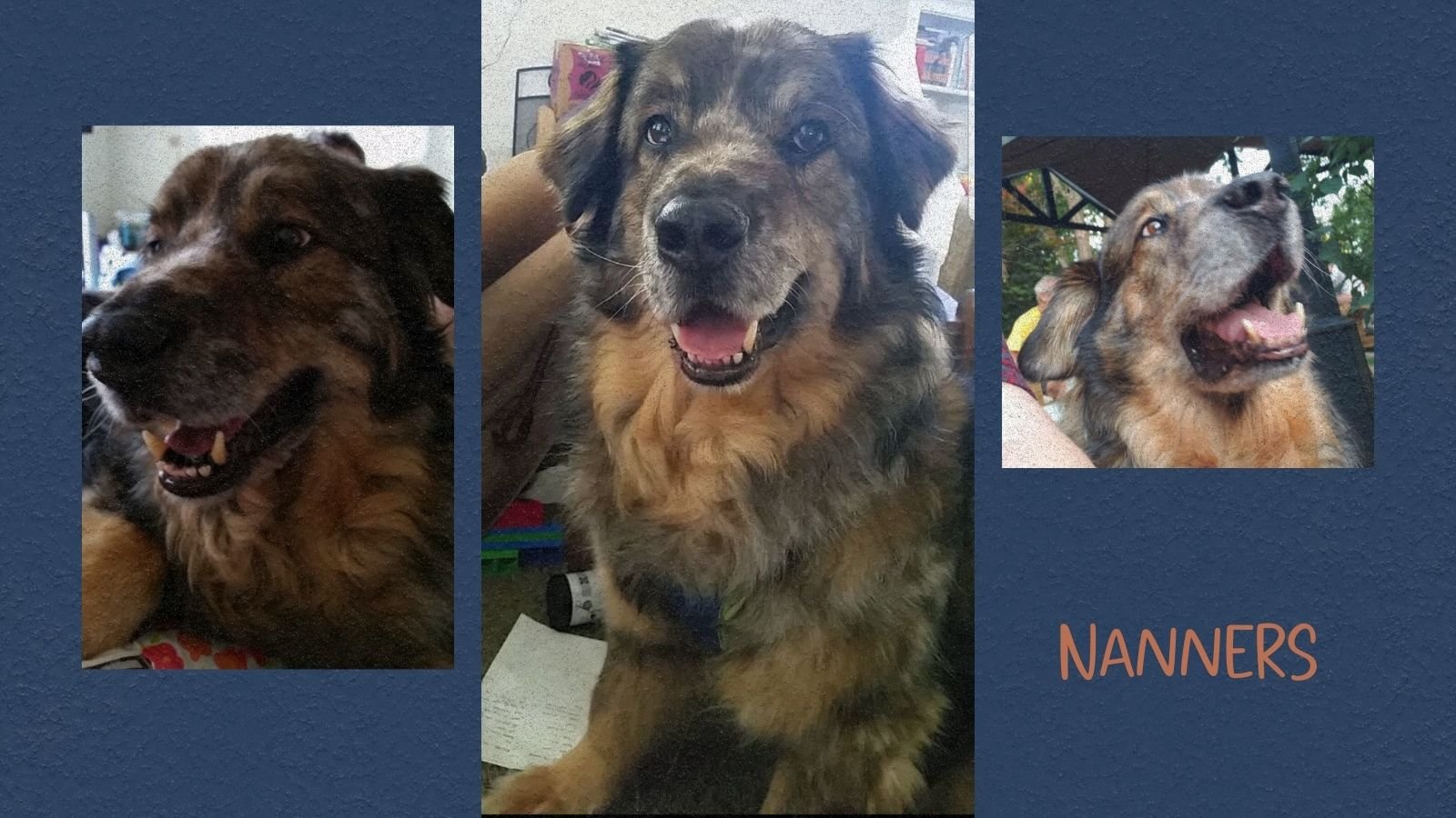 Making it Up As We Go