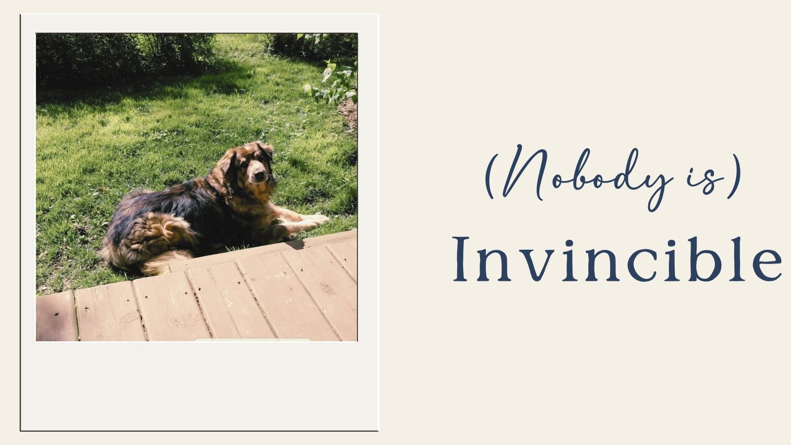 (Nobody Is) Invincible